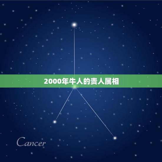 2000年牛人的贵人属相，1985属牛的天乙贵人