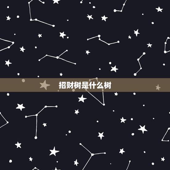 招财树是什么树,发财树的花语是什么,发财树的花语和传说/寓意着发财 招财树是什么树,发财树的花语是什么,发财树的花语和传说/寓意着发财