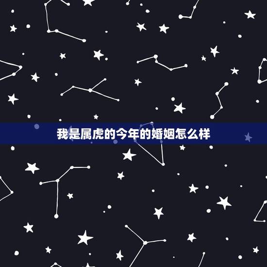 我是属虎的今年的婚姻怎么样，三观不合的婚姻怎么办