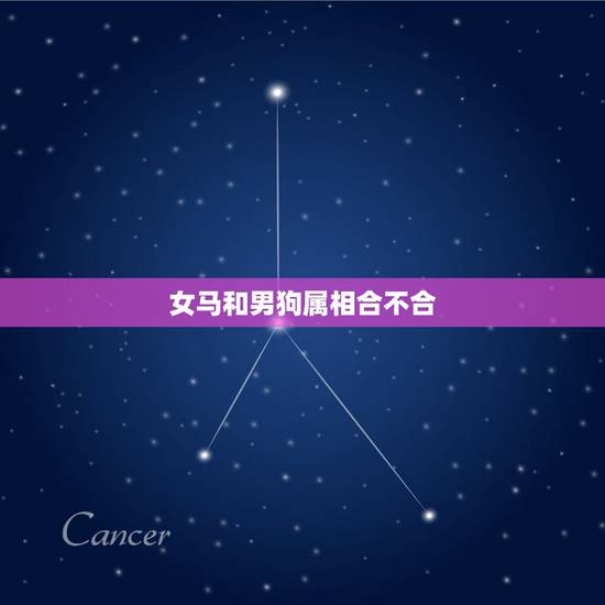 女马和男狗属相合不合，男大女相差4岁好吗？男的属马女的属狗，生肖不会相
