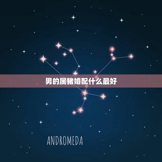 男的属猪婚配什么最好,属相婚配表之属猪的和什么属相最配 男的属猪婚配什么最好,属相婚配表之属猪的和什么属相最配