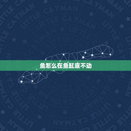 鱼怎么在鱼缸底不动，鱼为什么总是在鱼缸最下边不动.