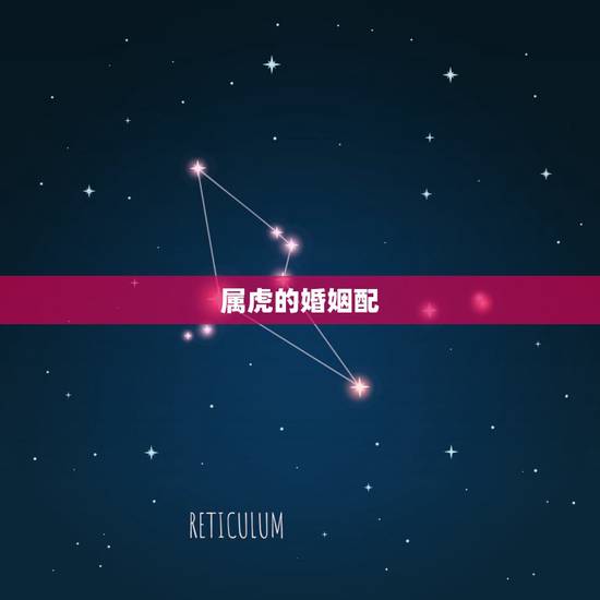 属虎的婚姻配，两人都属虎婚配和不和
