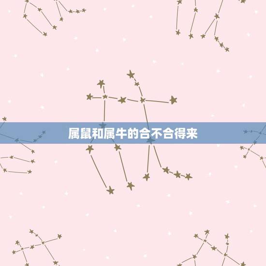 属鼠和属牛的合不合得来,属鼠和属虎的人合得来 属鼠和属牛的合不合得来,属鼠和属虎的人合得来