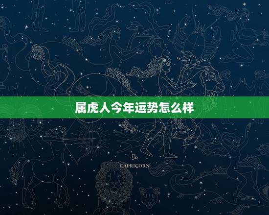 属虎人今年运势怎么样，2022 年属虎的生肖运程
