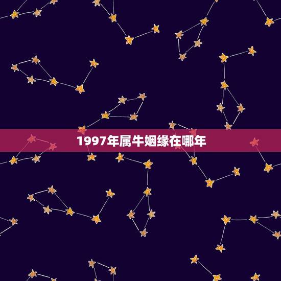 1997年属牛姻缘在哪年(十二生肖配对指南)