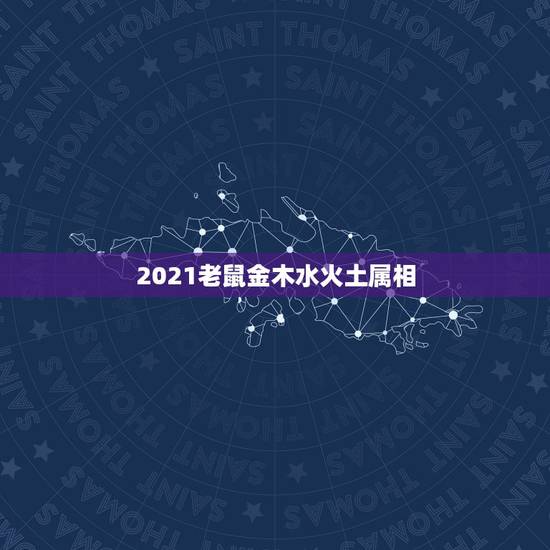 2021老鼠金木水火土属相，2021年什么命五行属性