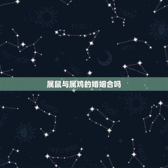 属鼠与属鸡的婚姻合吗,鸡和鼠的属相合不合财 属鼠与属鸡的婚姻合吗,鸡和鼠的属相合不合财