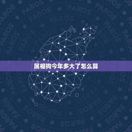 属相狗今年多大了怎么算,属狗的今年多大? 属相狗今年多大了怎么算,属狗的今年多大?