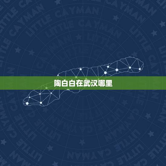 陶白白在武汉哪里,陶白白在哪里看 陶白白在武汉哪里,陶白白在哪里看