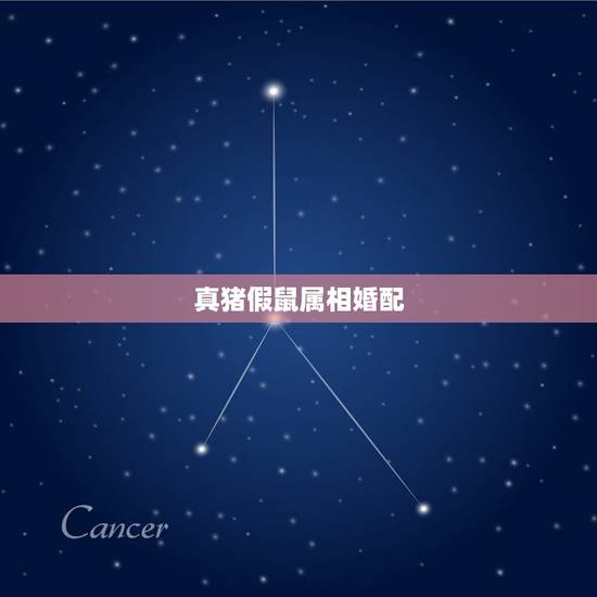 真猪假鼠属相婚配,鼠和猪相配吗 真猪假鼠属相婚配,鼠和猪相配吗