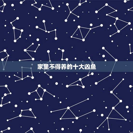 家里不得养的十大凶鱼，什么鱼最凶残 还点适合家里养的 食人鱼市场没卖的
