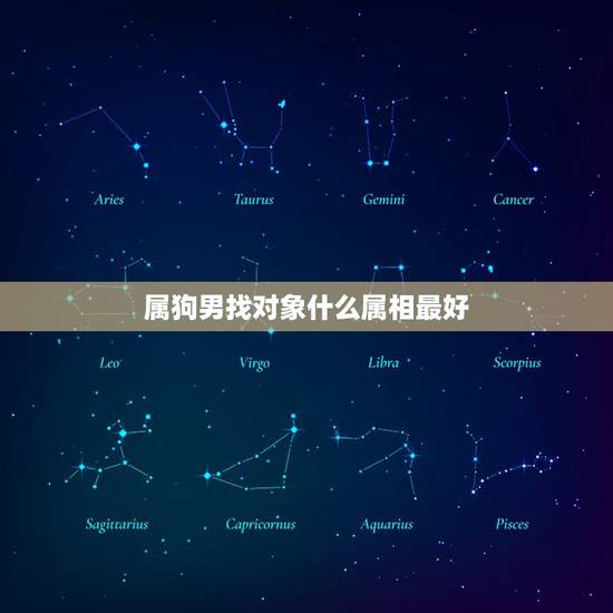 属狗男找对象什么属相最好，1982年属狗的男生和什么属相最配