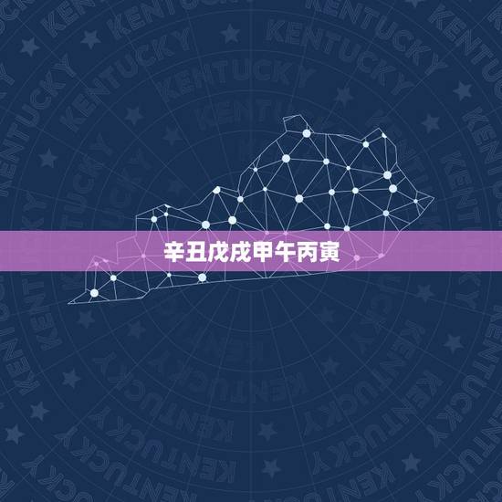 辛丑戊戌甲午丙寅，辛末辛丑戊戌