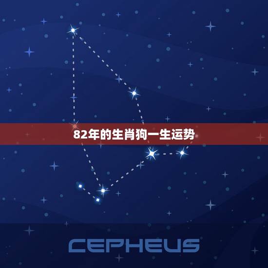 82年的生肖狗一生运势,生肖狗最重要的贵人属相 82年的生肖狗一生运势,生肖狗最重要的贵人属相