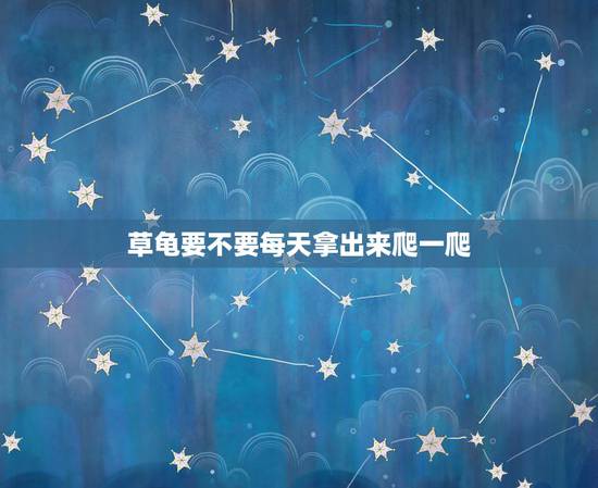 草龟要不要每天拿出来爬一爬，请问草龟的的生活习性是？是经常放水里还是放