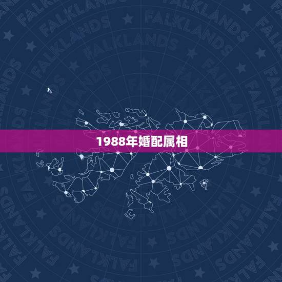 1988年婚配属相，88年属龙的和什么属相的比较配啊？