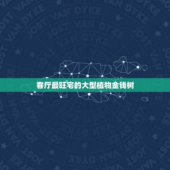 客厅最旺宅的大型植物金钱树,金钱树放在客厅什么位置辟邪招财? 客厅最旺宅的大型植物金钱树,金钱树放在客厅什么位置辟邪招财?
