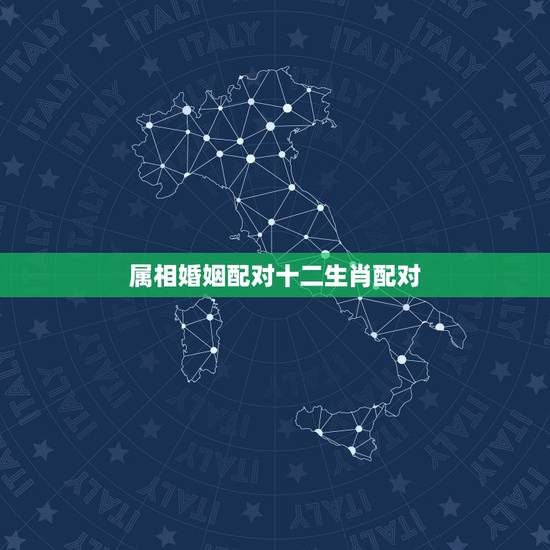 属相婚姻配对十二生肖配对,十二生肖男女婚配禁忌 属相婚姻配对十二生肖配对,十二生肖男女婚配禁忌