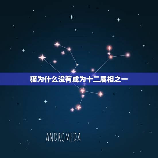 猫为什么没有成为十二属相之一，猫为什么没有加入十二生肖