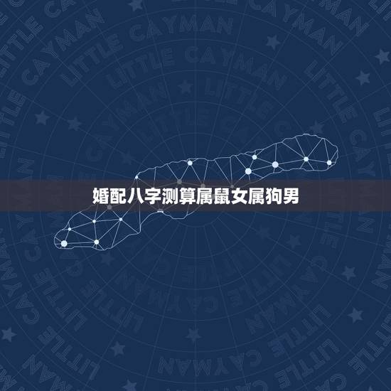 婚配八字测算属鼠女属狗男，男属鼠女属狗配吗_鼠和狗配吗？