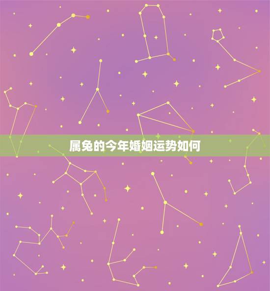 属兔的今年婚姻运势如何，今年属兔的婚姻怎么样