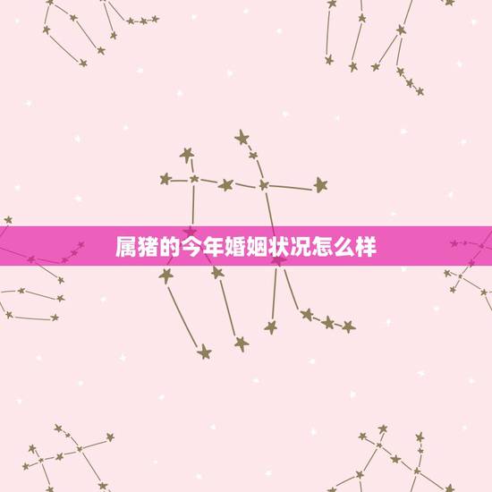 属猪的今年婚姻状况怎么样,属猪的已婚人今年感情咋样 属猪的今年婚姻状况怎么样,属猪的已婚人今年感情咋样