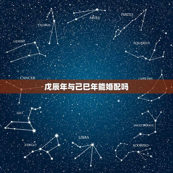 戊辰年与己巳年能婚配吗,男,戊辰年己未月壬申日,女,己巳年丁卯月庚辰日 戊辰年与己巳年能婚配吗,男,戊辰年己未月壬申日,女,己巳年丁卯月庚辰日