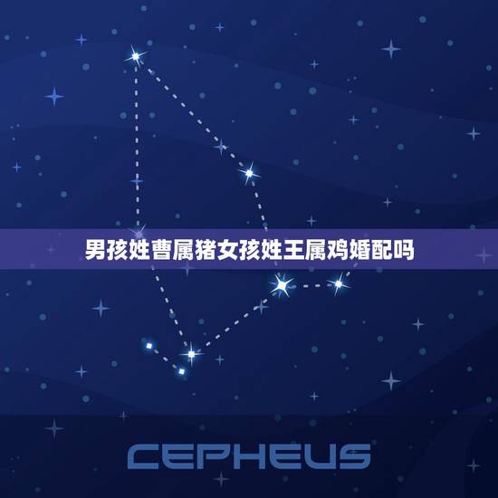 男孩姓曹属猪女孩姓王属鸡婚配吗，属鸡的女的 和属猪的男的相配吗