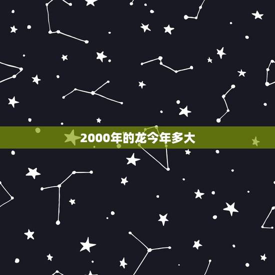 2000年的龙今年多大，属龙的今年多大