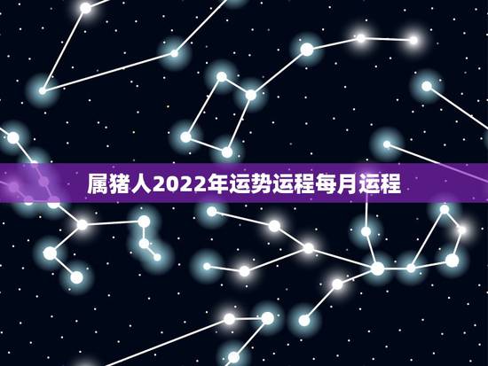 属猪人2022年运势运程每月运程，2022属猪人的全年运势如何