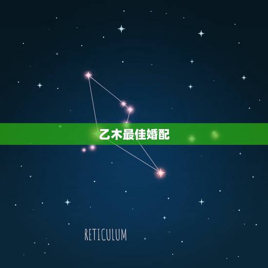 乙木最佳婚配，乙木男和丁火女的搭配怎么样
