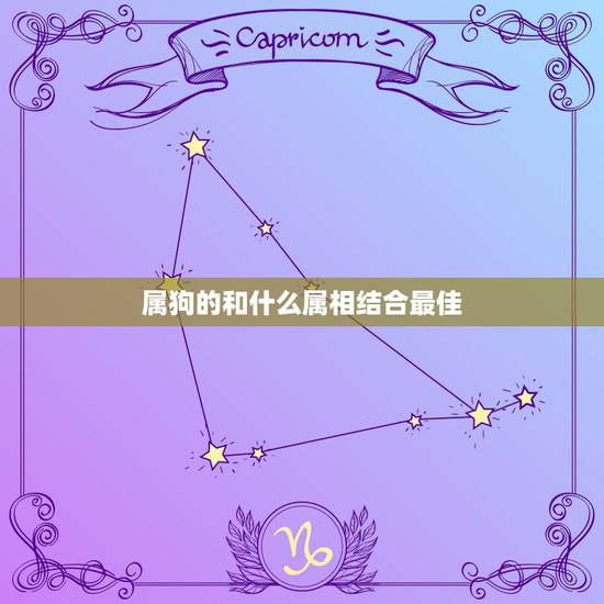 属狗的和什么属相结合最佳，属狗和什么属搭配合适？