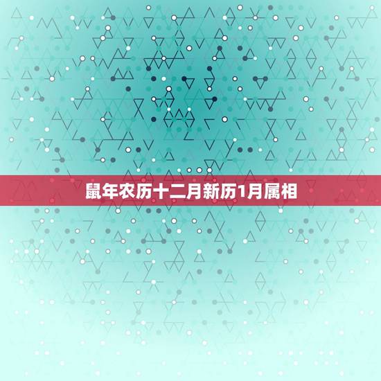 鼠年农历十二月新历1月属相，本命年算农历还是阳历