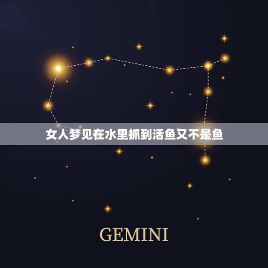 女人梦见在水里抓到活鱼又不是鱼，女人梦见在水里抓到活鱼