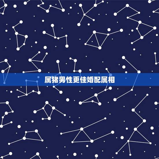 属猪男性更佳婚配属相,属猪人命里带二婚 属猪男性更佳婚配属相,属猪人命里带二婚