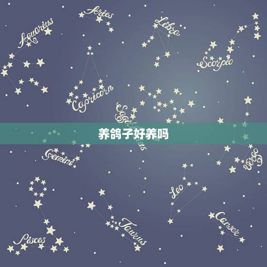 养鸽子好养吗，养鸽子好养吗