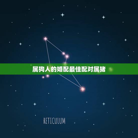 属狗人的婚配最佳配对属猪，女属狗的属相婚配表