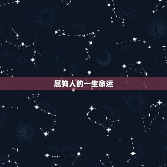 属狗人的一生命运，属狗一辈子的婚姻