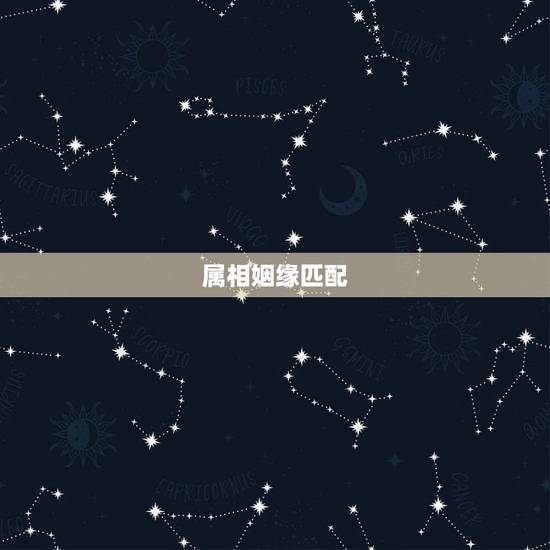 属相姻缘匹配，属相生肖配对姻缘查询？