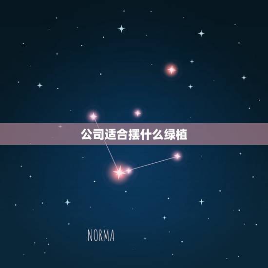公司适合摆什么绿植，公司放什么植物好？