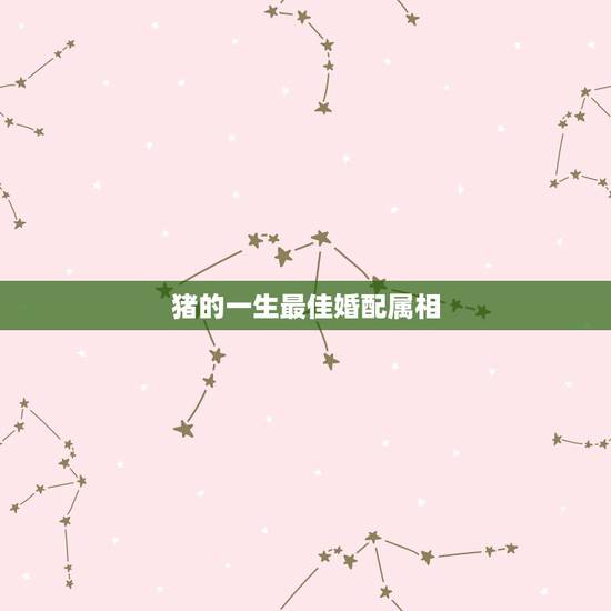 猪的一生最佳婚配属相,属相婚配:男属羊和女属猪相配吗 猪的一生最佳婚配属相,属相婚配:男属羊和女属猪相配吗