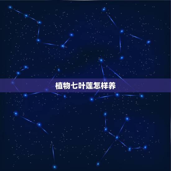 植物七叶莲怎样养，七叶莲的养殖修剪方法？