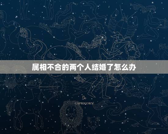 属相不合的两个人结婚了怎么办，我们俩相爱，可是算算我俩八字属相都不合而