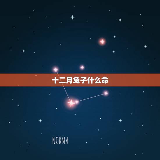 十二月兔子什么命,兔12月出生的命好不好 十二月兔子什么命,兔12月出生的命好不好