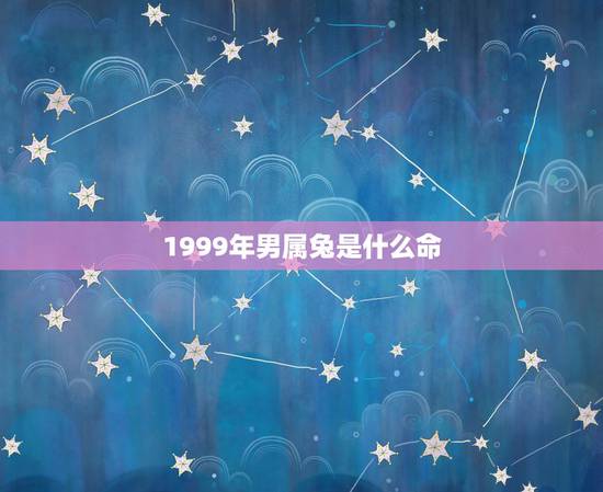 1999年男属兔是什么命,1999年9月兔男命运 1999年男属兔是什么命,1999年9月兔男命运