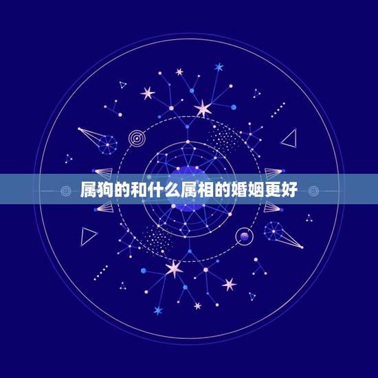 属狗的和什么属相的婚姻更好,属狗的婚姻更佳生肖 属狗的和什么属相的婚姻更好,属狗的婚姻更佳生肖