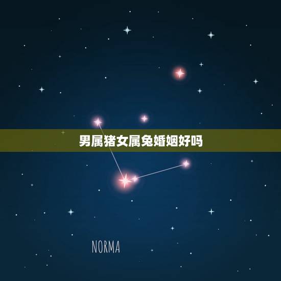 男属猪女属兔婚姻好吗,男猪女兔适合结婚的年份 男属猪女属兔婚姻好吗,男猪女兔适合结婚的年份