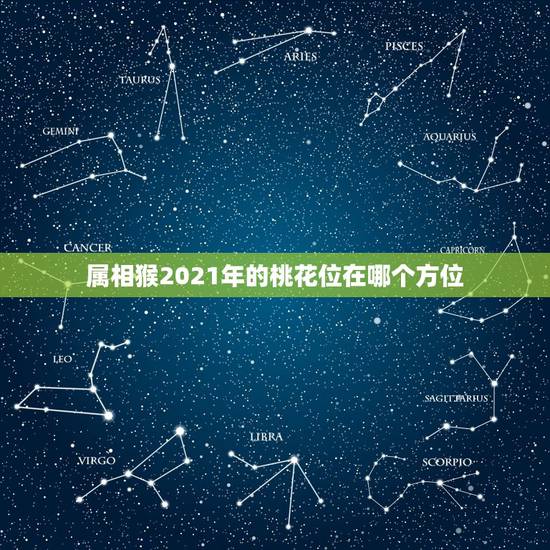 属相猴2021年的桃花位在哪个方位,2021年桃花位是什么方向 属相猴2021年的桃花位在哪个方位,2021年桃花位是什么方向