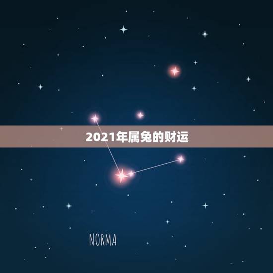 2021年属兔的财运，2021年兔子的运势如何